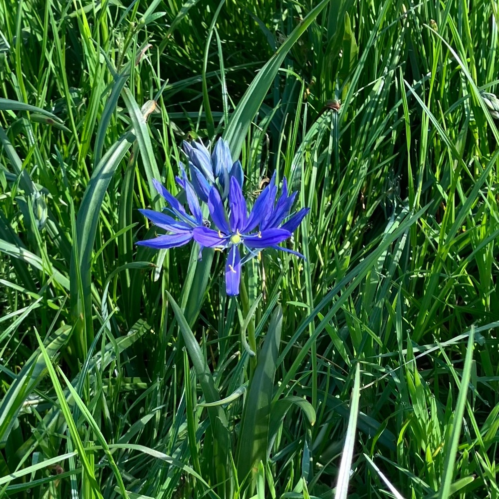 Meet your Posher, Cynthia